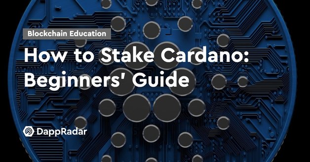 how to stake cardano: beginners' guide