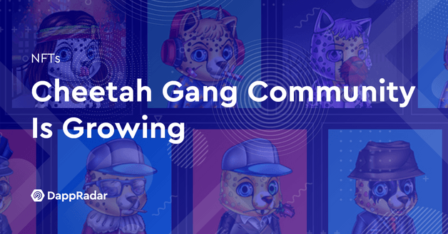 Cheetah Gang Community Is Growing