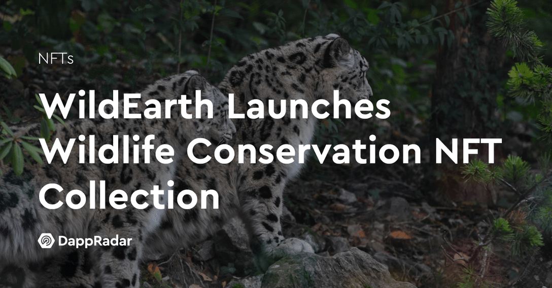 WildEarth Launches Wildlife Conservation NFT Collection